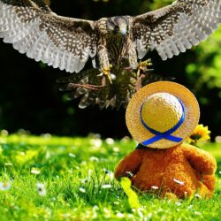 الاستمتاع بحرية الحياة: رحلة العودة إلى الذات والانطلاق الحقيقي