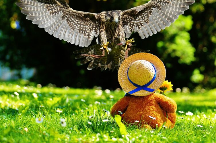 الاستمتاع بحرية الحياة: رحلة العودة إلى الذات والانطلاق الحقيقي