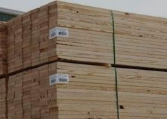 اسعار الخشب في مصر اليوم الجمعة 26-4-2024